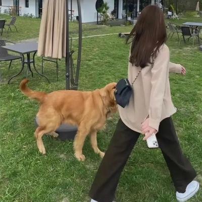 隐秘而伟大